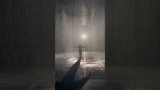 Rain room [upl. by Kutchins]