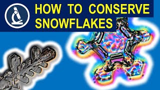 How to put SNOW under the microscope without taking the microscope out into the cold 🔬 177 [upl. by Paine]