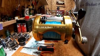 Shimano Tekota vs Penn International Reel [upl. by Redwine415]