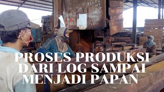 PROSES PRODUKSI KAYU MERBAU DARI LOG SAMPAI JADI PAPAN IndraGunawanST [upl. by Wehttam306]