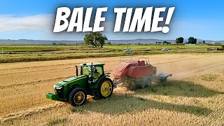 Baling Over 2000 Straw Bales After Wheat Harvest [upl. by Einnol]