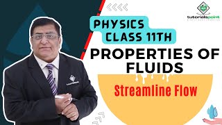 Class 11th – Streamline Flow  Properties of Fluids  Tutorials Point [upl. by Palladin]