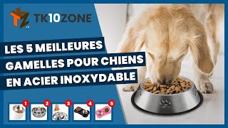 Les 5 meilleures gamelles pour chiens en acier inoxydable [upl. by Etteroma]