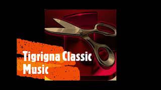 Tigrigna Classical Music Collection Danexvideorecords [upl. by Draw512]