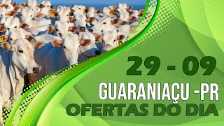 OFERTAS 2909 GUARANIAÇU  PR [upl. by Elijah]