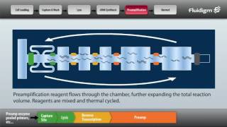 Fluidigm [upl. by Chard85]