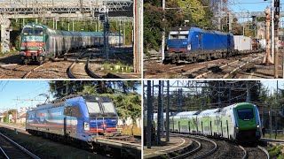 TRENI TRA RHO FIERA MILANO GALLARATE E SESTO CALENDE [upl. by Ssilb]