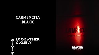 Carmencita Black  Look at her closely  Lavazza [upl. by Normalie]