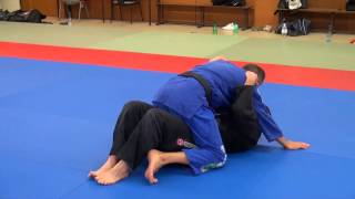 BJJ  Escape from mount position with strikes [upl. by Acacia]