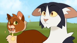 Funny Warrior Cats Memes Compilation [upl. by Nelan]