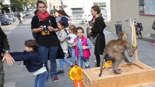 Anche a Reggio Emilia arriva la Giornata nazionale delle famiglie al museo [upl. by Chimene406]