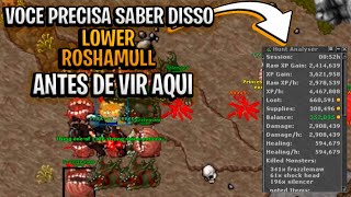 Tibia Otimizando sua hunt solo em Lower Roshamuul Dicas essenciais [upl. by Colwell]