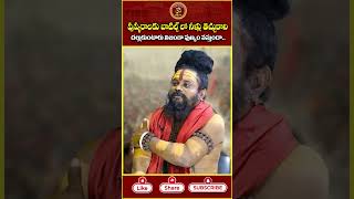 పుష్కర స్నానం చేయలేనివారు నేను చెప్పినట్టు ఇలా చేయండి shivarudrasadhuvushivadura pushkar aghora [upl. by Nedrah]