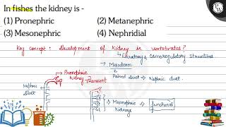 In fishes the kidney is  1 Pronephric 2 Metanephric 3 Mesonephric [upl. by Kathryn227]