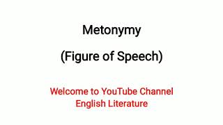 Metonymy  Literary Term  Explained in Urdu Hindi [upl. by Namielus]