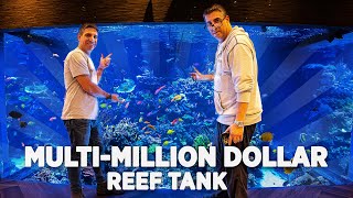 WWC Visits The Largest Private Reef Tank in America [upl. by Nobell]