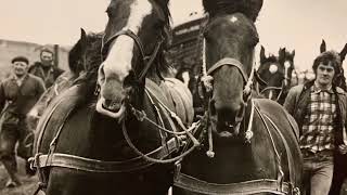 KEN amp HANS  DROWNED HORSES OF AMELAND [upl. by Kellen567]