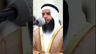 SURAH AL MAIDAH  SYEKH EZZEDINE AL AWAMI  Nabhan Tv  النبهانى [upl. by Oeram199]