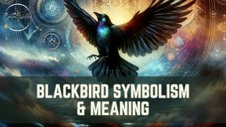 Blackbird Symbolism amp Meaning [upl. by Craig179]