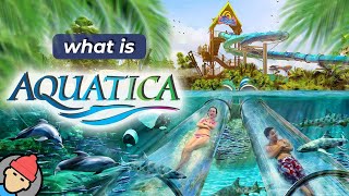 Aquatica Orlando Water Park 2023 Florida  Walking Tour Part1 [upl. by Nerradal422]