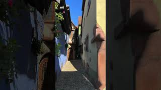 riquewihr travel прогулка france [upl. by Shanna]