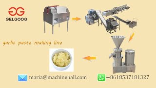 How To Make Garlic PasteGarlic Paste Making Machine Line [upl. by Pillihp]