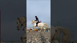 Throwback to our first time jumping bitless 🦄🤩 shorts birdieequines bitless riding [upl. by Eirised]