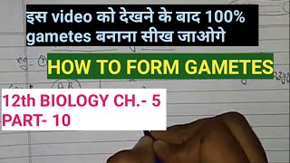 Class 12 biology chapter 5part 10how to form gametesby study with farru [upl. by Sanbo]