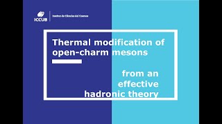 Webinar Thermal modification of opencharm mesons from an effective hadronic theory by G Montaña [upl. by Estel]