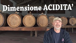 Aceto Balsamico Dimensione ACIDITA [upl. by Sousa406]