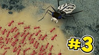 BIG BUGS  Empires Of The Undergrowth  Ep3 [upl. by Arahk]