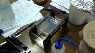 Agarose gel electrophoresis [upl. by Junius]