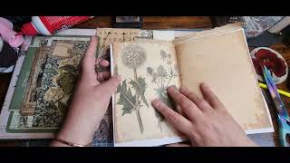 Creating Hardback Botanical Journals  3 Ways  Part 2 [upl. by Modeerf]