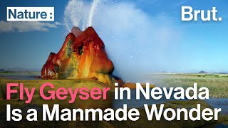 Fly Geyser in Nevada Is a Manmade Wonder [upl. by Scotney860]