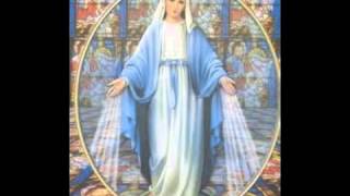 The Healing with Mother Mary Meditation  Sarah Hall [upl. by Mosier]