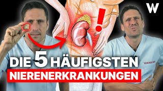 Nierenprobleme Das sind die 5 häufigsten Nierenerkrankungen Ursachen Anzeichen und Therapie [upl. by Mehetabel]