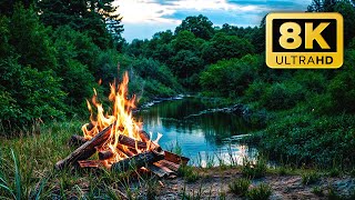 Cozy Campfire by the River Ambience — Crackling Fire amp Cricket Sounds [upl. by Jonina295]