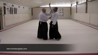 Aikido Historical Perspectives on Atemi Striking Waza [upl. by Nilecoj]