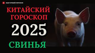 СВИНЬЯ 2025  ПОДРОБНЫЙ КИТАЙСКИЙ ГОРОСКОП НА 2025 ГОД [upl. by Eanal]