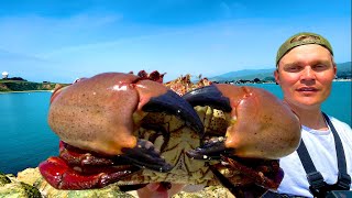 Catching MASSIVE Crabs  Jetty Fishing  Catch amp Cook  The Salty Twins [upl. by Janeczka976]