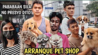 ARRANQUE PET SHOP LATES PRICE UPDATE  MGA MURANG PERSIAN CAT AT CROSS BREED PUPPIES [upl. by Villada958]