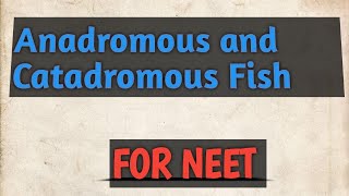 Anadromous and catadromous Fish Migratory Fishes NEET ZoologyCSIRNETLifeScience [upl. by Sredna]