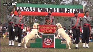 assamrifles dog drill  Indian [upl. by Burget121]