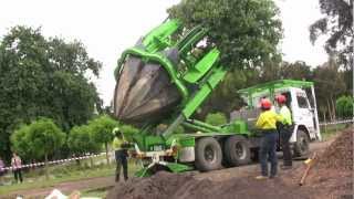 Tree Transplanting with ArborCo Melbournem4v [upl. by Koziara]