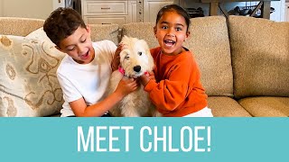 WE GOT A PUPPY 🐶 Welcome to the family Chloe [upl. by Acireit]