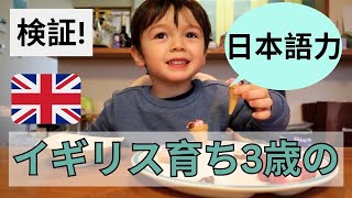 検証！どれだけ喋れる？イギリス育ち3歳の孫と日本の祖母の会話  HOW WELL A 3 YEARS BILINGUAL TODDLER COMMUNICATE WITH HIS GRANDMA [upl. by Berlin]