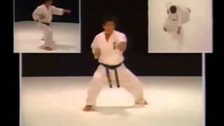 Kyokushin Karate Bible HDwmv [upl. by Sillig]