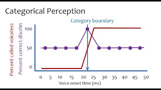 SLHS 1301  Speech perception 2  categorical perception [upl. by Alys849]