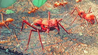 These New Leaf Cutter Ants Destroy Everything in Empires Of The Undergrowth [upl. by Eirrac128]