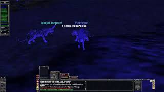 Lvl 25 Druid Solo Charming in Stonebrunt P99 Green [upl. by Alphonsa]